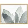 image:imageKate and Laurel Blake Modern Green Leaf Botanical III Framed Printed Glass Wall Art by The Creative Bunch Studio 18x24 Natural Decorative Botanical Glass Art for Wall