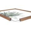 image:imageKate and Laurel Blake Parrys Agave Framed Printed Glass Wall Art by Emily Marie Watercolors 18x24 Gold Modern Botanical Succulent Wall DcorGold