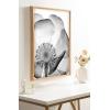 image:imageKate and Laurel Blake Poppy X Ray Floral 2 BW Framed Printed Glass Wall Art by The Creative Bunch Studio 18x24 Natural Decorative Modern Flower Art Print for Wall