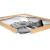 image:imageKate and Laurel Blake Poppy X Ray Floral 2 BW Framed Printed Glass Wall Art by The Creative Bunch Studio 18x24 Natural Decorative Modern Flower Art Print for Wall