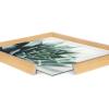 image:imageKate and Laurel Blake Radical Succulent Framed Printed Glass Wall Art by Emiko and Mark Franzen of F2Images 18x24 Natural Modern Botanical Succulent Wall Dcor