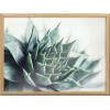 image:imageKate and Laurel Blake Radical Succulent Framed Printed Glass Wall Art by Emiko and Mark Franzen of F2Images 18x24 Natural Modern Botanical Succulent Wall Dcor