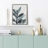image:imageKate and Laurel Blake Senecio 1 Framed Printed Glass Wall Art by Emiko and Mark Franzen of F2Images 18x24 Gray Decorative Botanical Art for Wall