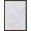 image:imageKate and Laurel Blake Senecio 1 Framed Printed Glass Wall Art by Emiko and Mark Franzen of F2Images 18x24 Gray Decorative Botanical Art for Wall