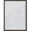 image:imageKate and Laurel Blake Succulent 5 Framed Printed Glass Wall Art by Emiko and Mark Franzen of F2Images 18x24 Gray Decorative Plant Art for Wall