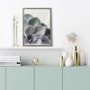 image:imageKate and Laurel Blake Succulent 5 Framed Printed Glass Wall Art by Emiko and Mark Franzen of F2Images 18x24 Gray Decorative Plant Art for Wall