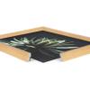 image:imageKate and Laurel Blake Warrior Succulent Framed Printed Glass Natural Plant Wall Art by Emiko and Mark Franzen of F2Images 18x24 Natural Moody Botanical Glass Art