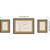 image:imageKate and Laurel Botanical Sketch Neutrals 3 Piece Framed Wall Art Print Set by Stephanie Klatt Carlisle Espresso Narrow Modern Contemporary Flower Art for Wall Decor