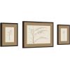 image:imageKate and Laurel Botanical Sketch Neutrals 3 Piece Framed Wall Art Print Set by Stephanie Klatt Carlisle Espresso Narrow Modern Contemporary Flower Art for Wall Decor
