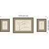 image:imageKate and Laurel Botanical Sketch Olive 3 Piece Framed Wall Art Print Set by Stephanie Klatt Carlisle Brown Narrow Modern Contemporary Flower Art for Wall Decor