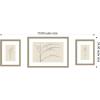 image:imageKate and Laurel Botanical Sketch Warm 3 Piece Framed Wall Art Print Set by Stephanie Klatt Belmont Distress Silver Modern Contemporary Flower Art for Wall Decor