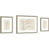 image:imageKate and Laurel Botanical Sketch Warm 3 Piece Framed Wall Art Print Set by Stephanie Klatt Belmont Distress Silver Modern Contemporary Flower Art for Wall Decor
