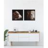 image:imageKate and Laurel Cow Close 2 Piece Framed Canvas Wall Art Set by Emiko and Mark Franzen F2 Images Sylvie Beaded Black Rustic Farmhouse Animal Art for Wall Decor