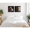 image:imageKate and Laurel Cow Close 2 Piece Framed Canvas Wall Art Set by Emiko and Mark Franzen F2 Images Sylvie Beaded Black Rustic Farmhouse Animal Art for Wall Decor