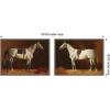 image:imageKate and Laurel Emil Volkers White Horses 2 Piece Framed Canvas Wall Art Set by Nostalgia Prints Sylvie Walnut Traditional Animal Art for Wall Decor