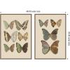 image:imageKate and Laurel Exotische schmetterlinge Otto Staudinger 2 Piece Framed Canvas Wall Art Set by Nostalgia Prints Sylvie Walnut Vintage Animal Art for Wall Decor