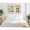 image:imageKate and Laurel Exotische schmetterlinge Otto Staudinger 2 Piece Framed Canvas Wall Art Set by Nostalgia Prints Sylvie Walnut Vintage Animal Art for Wall Decor