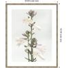 image:imageKate and Laurel Framed Wall Art Print Hosta by Alicia Abla 22 x 26 Mila Dark Silver Frame Modern Contemporary Flower Art for Wall Decor42L x 34W