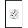 image:imageKate and Laurel Framed Wall Art Print Modern Succulent by Tai Prints 25 x 25 Svelte Noir Black Frame Modern Contemporary Flower Art for Wall DecorSvelte Noir Black