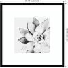 image:imageKate and Laurel Framed Wall Art Print Modern Succulent by Tai Prints 25 x 25 Svelte Noir Black Frame Modern Contemporary Flower Art for Wall DecorSvelte Noir Black