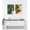 image:imageKate and Laurel Oranges on a Branch 2 Piece Framed Canvas Wall Art Set by Nostalgia Prints Sylvie White Modern Contemporary Nature Art for Wall Decor