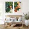 image:imageKate and Laurel Oranges on a Branch 2 Piece Framed Canvas Wall Art Set by Nostalgia Prints Sylvie White Modern Contemporary Nature Art for Wall Decor