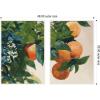 image:imageKate and Laurel Oranges on a Branch 2 Piece Framed Canvas Wall Art Set by Nostalgia Prints Sylvie White Modern Contemporary Nature Art for Wall Decor
