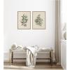 image:imageKate and Laurel Salix subserrata Willd Willow amp Osyris Lanceolate African Sandalwood 2 Piece Framed Canvas Wall Art Set by Nostalgia Prints Sylvie Beaded Rustic Natural Vintage Nature Art for Wall