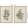 image:imageKate and Laurel Salix subserrata Willd Willow amp Osyris Lanceolate African Sandalwood 2 Piece Framed Canvas Wall Art Set by Nostalgia Prints Sylvie Beaded Rustic Natural Vintage Nature Art for Wall
