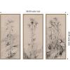 image:imageKate and Laurel Study of Thistles and Grass Walter Clark 3 Piece Framed Canvas Wall Art Set by The Smithsonian American Art Museum Sylvie Dark Gold Vintage Flower Art for Wall Decor