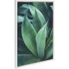 image:imageKate and Laurel Sylvie Agave II Framed Canvas Wall Art by F2Images 23x33 White Modern Succulent Wall Decor