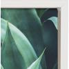 image:imageKate and Laurel Sylvie Agave II Framed Canvas Wall Art by F2Images 23x33 White Modern Succulent Wall Decor