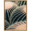 image:imageKate and Laurel Sylvie Barrel Cactus Framed Canvas Wall Art by Alicia Bock 18x24 Natural Desert Cactus Photography Art for Wall