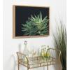 image:imageKate and Laurel Sylvie Botanical Succulent 13 Color Photograph Framed Canvas Wall Art by F2 Images 24x18 Natural