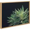 image:imageKate and Laurel Sylvie Botanical Succulent 13 Color Photograph Framed Canvas Wall Art by F2 Images 24x18 Natural