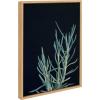 image:imageKate and Laurel Sylvie Botanical Succulent 16 Framed Canvas Wall Art by F2 Images 18x24 Natural