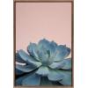 image:imageKate and Laurel Sylvie Botanical Succulent Color Photograph Framed Canvas Wall Art by F2 Images 18x24 GoldGold