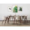image:imageKate and Laurel Sylvie EV Monstera 582 Monstera and Monstera Leaves Framed Canvas Wall Art Set by Various Artists 3 Piece Set Natural House Plant Art for Wall
