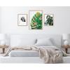 image:imageKate and Laurel Sylvie EV Monstera 582 Monstera and Monstera Leaves Framed Canvas Wall Art Set by Various Artists 3 Piece Set Natural House Plant Art for Wall