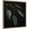 image:imageKate and Laurel Sylvie Eucalyptus Leaves Framed Canvas Wall Art by Alicia Abla 22x22 Gold Botanical Nature Art Wall Dcor