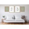 image:imageKate and Laurel Sylvie Eucalyptus and Modern Sage Green Botanical Line Sketch Framed Canvas Wall Art Set by Various Artists 4 Piece Set Natural Soft Floral Plant Art for Wall