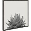 image:imageKate and Laurel Sylvie Haze Aloe Succulent Framed Canvas Wall Art by The Creative Bunch Studio 22x22 Gray Decorative Botanical Art Print for WallGray