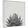 image:imageKate and Laurel Sylvie Haze Aloe Succulent Framed Canvas Wall Art by The Creative Bunch Studio 22x22 Gray Decorative Botanical Art Print for WallWhite