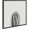image:imageKate and Laurel Sylvie Haze Cactus Succulent Tall Framed Canvas Wall Art by The Creative Bunch Studio 22x22 White Decorative Botanical Art for WallGray