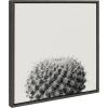 image:imageKate and Laurel Sylvie Haze Succulent Cactus Short Framed Canvas Wall Art by The Creative Bunch Studio 22x22 Gray Decorative Succulent Art for WallGray