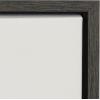 image:imageKate and Laurel Sylvie Haze Succulent Cactus Short Framed Canvas Wall Art by The Creative Bunch Studio 22x22 Gray Decorative Succulent Art for WallGray