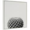 image:imageKate and Laurel Sylvie Haze Succulent Cactus Short Framed Canvas Wall Art by The Creative Bunch Studio 22x22 Gray Decorative Succulent Art for WallWhite