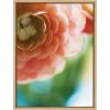 image:imageKate and Laurel Sylvie Light Side Framed Canvas Wall Art by Alicia Bock 18x24 Natural CloseUp Flower Photography Art for Wall
