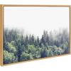 image:imageKate and Laurel Sylvie Lush Green Forest on a Foggy Day and Vintage Botanical 3 and 4 Black and White Framed Canvas Wall Art Set by Various Artists 3 Piece Set Natural Forest Plant Art for Wall