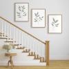 image:imageKate and Laurel Sylvie Modern Sage Green Botanical Outdoor Nature Print 1 2 and 3 Framed Canvas Art Set by The Creative Bunch Studio 3 Piece Set 18x24 Natural Modern Greenery Wall Art Dcor Set